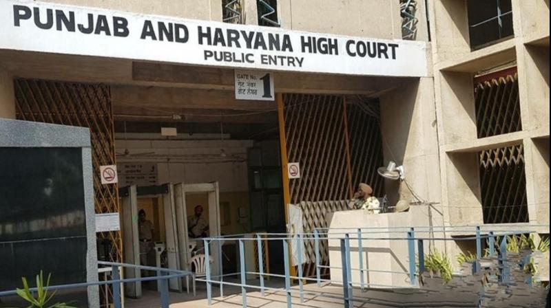 Lawyer misguided punjab haryana high court News