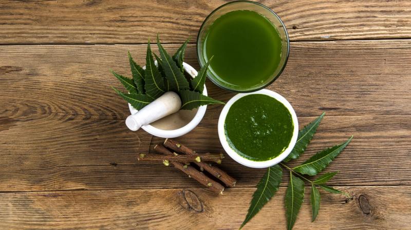 Neem juice helps reduce obesity