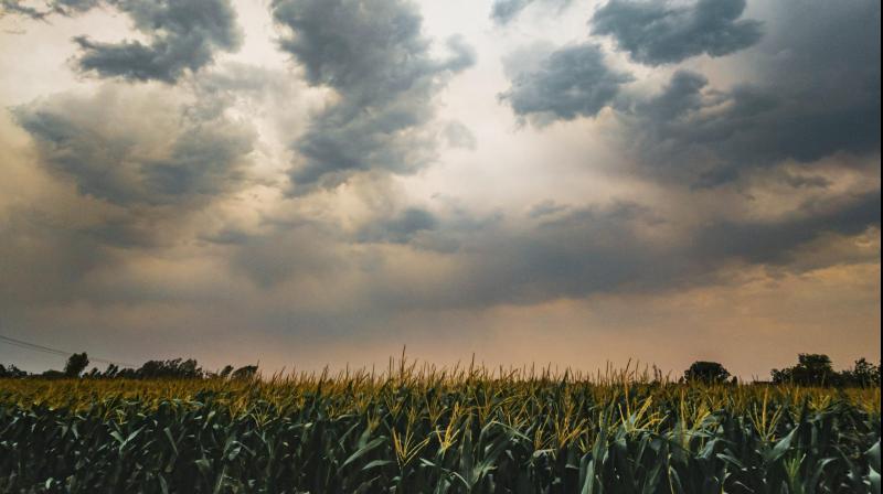Alert of heavy rain in these districts of Punjab Alert of heavy rain in these districts of Punjab