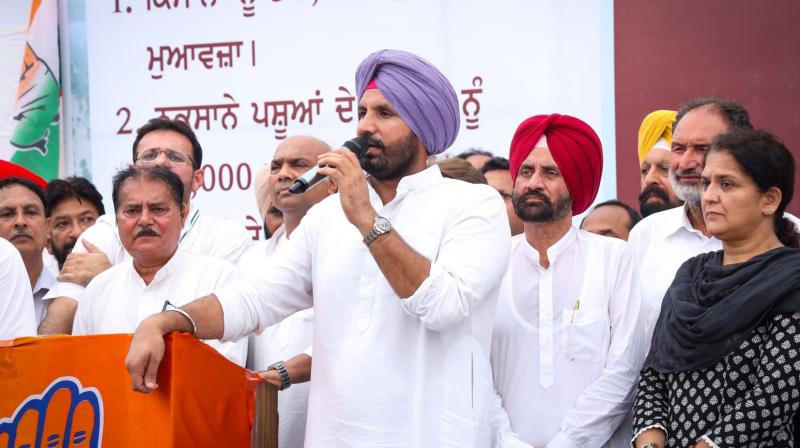 Punjab News Punjab News