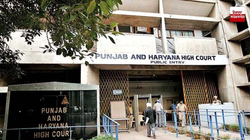 Punjab and haryana High Court Punjab and haryana High Court