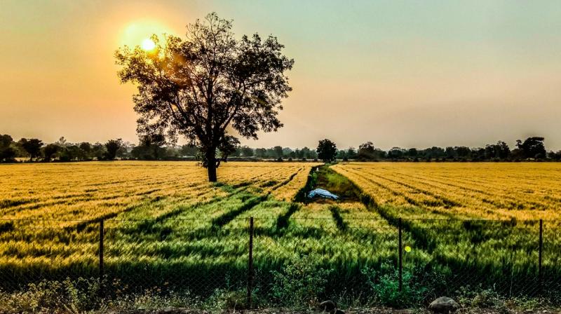 Punjab