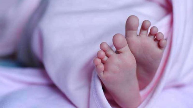 New Born baby New Born baby