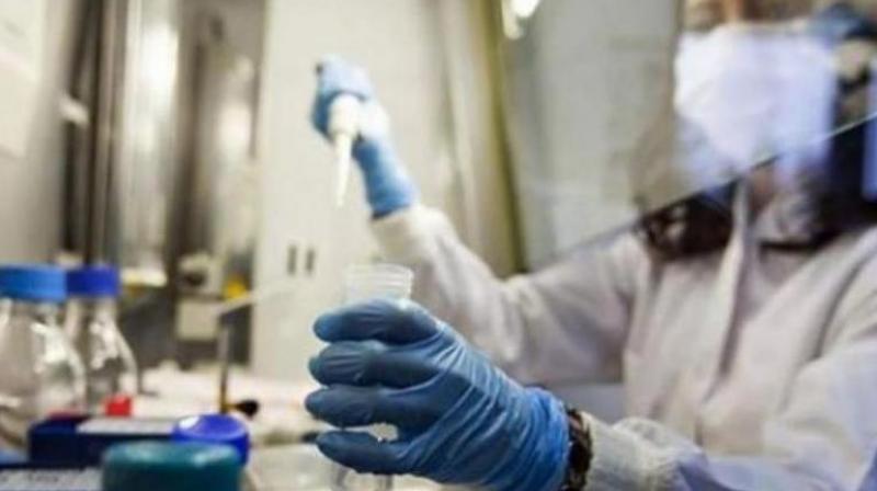coronavirus coronavirus