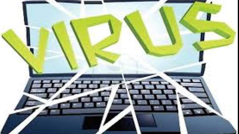 Virus Virus