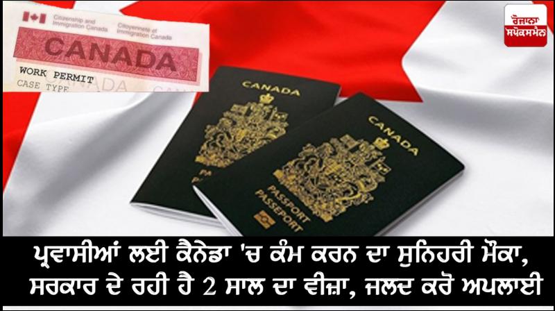 Golden opportunity for immigrants to work in Canada, the government is giving 2 year visa, apply early Golden opportunity for immigrants to work in Canada, the government is giving 2 year visa, apply early