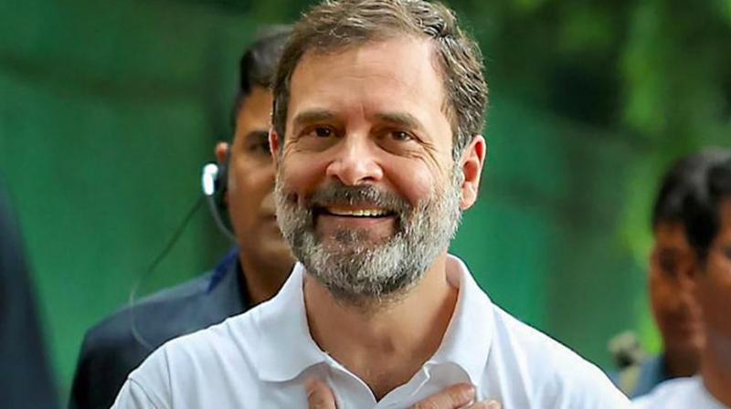 MP Rahul Gandhi