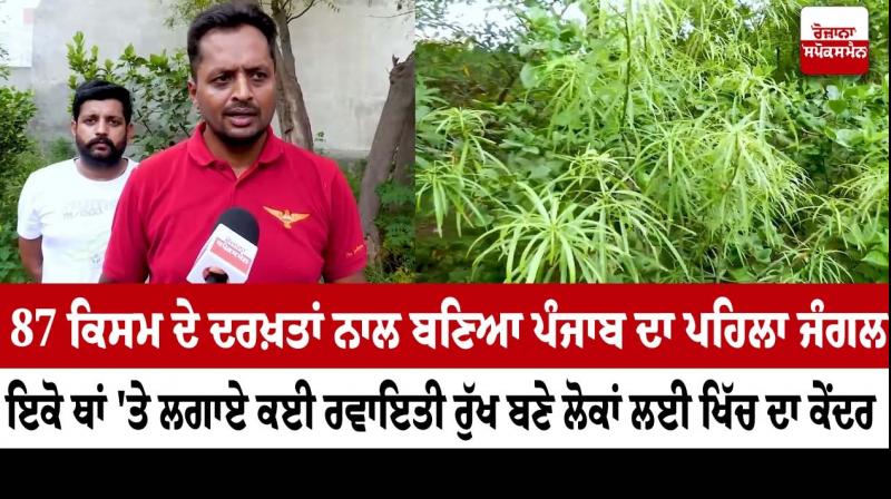 Punjab News Punjab News