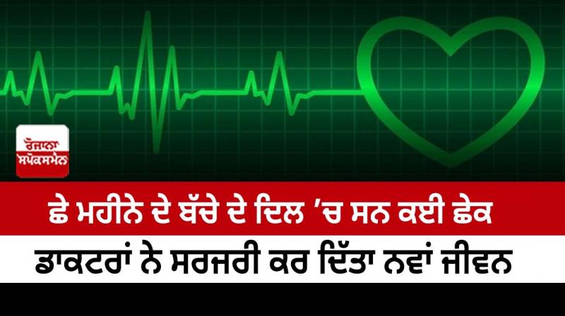 There were several holes in the heart of the six-month-old child There were several holes in the heart of the six-month-old child