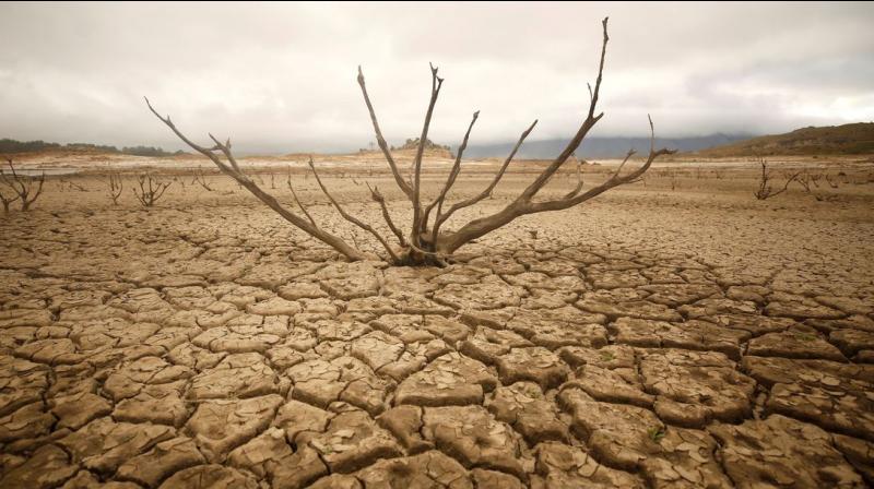 Drought Drought