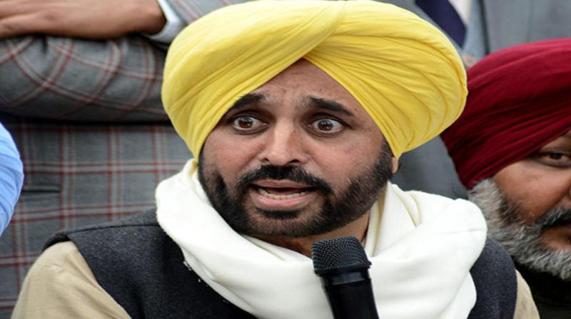 Punjab aap mp bhagwant mann blame cm amarinder singh 