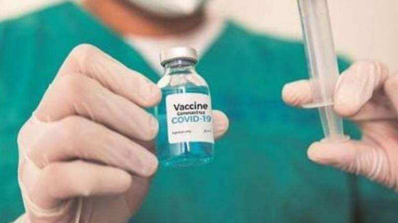 corona virus vaccine corona virus vaccine
