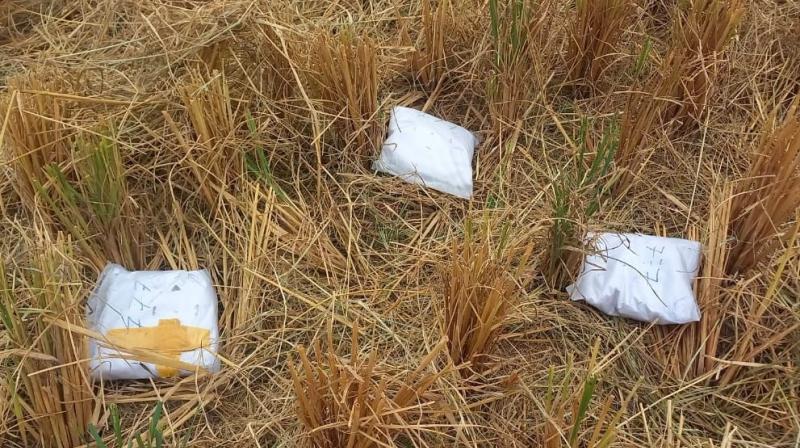 Gurdaspur: Big success for BSF, heroin worth Rs 15 crore seized on Indo-Pak border Gurdaspur: Big success for BSF, heroin worth Rs 15 crore seized on Indo-Pak border