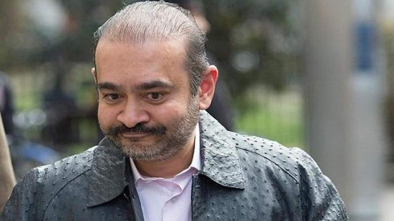 The way for fugitive diamond businessman Nirav Modi to come to India is clear The way for fugitive diamond businessman Nirav Modi to come to India is clear