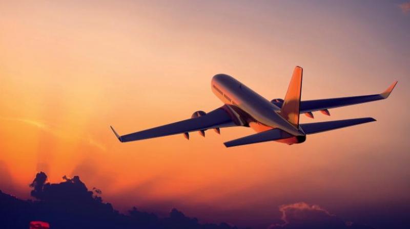 Flight Flight
