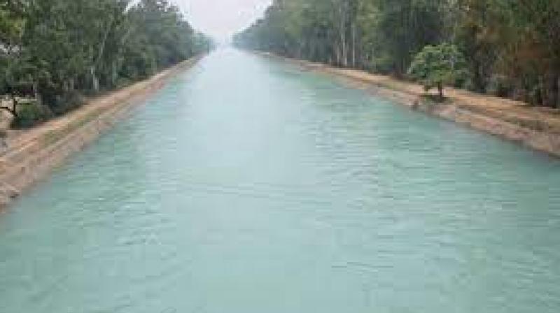Rotational irrigation programme for rabi season from February 19 to 26 released news in punjabi Rotational irrigation programme for rabi season from February 19 to 26 released news in punjabi