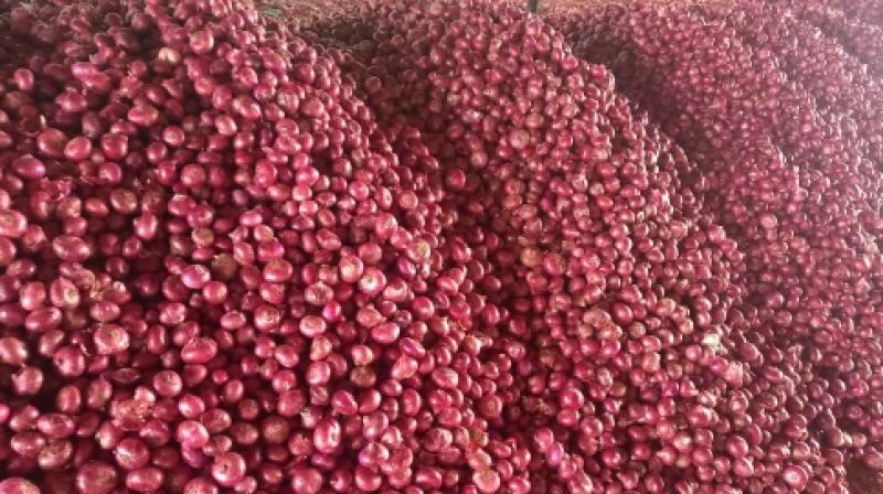 Onions Onions