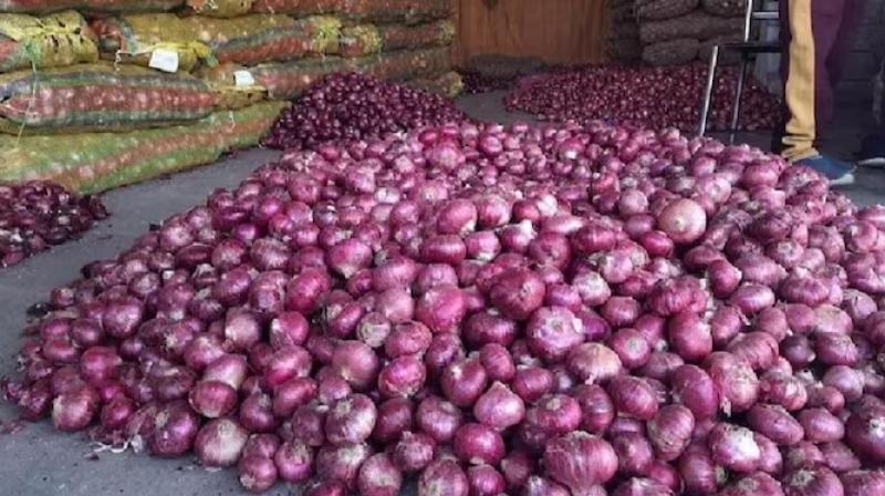 Onions Onions