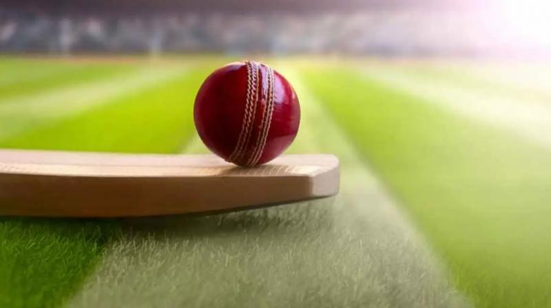 Cricket. Cricket.