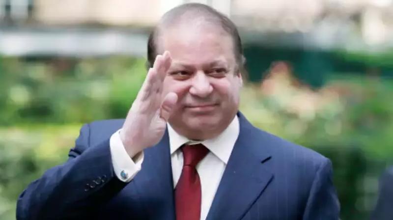 Nawza Sharif Nawza Sharif