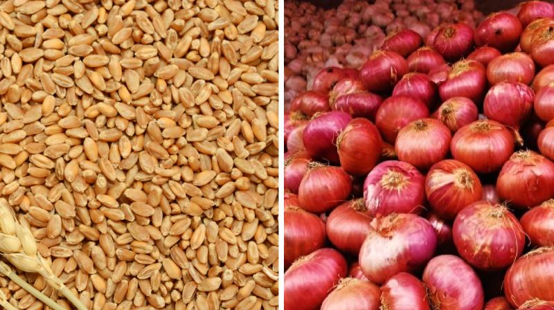 Wheat and onion Wheat and onion