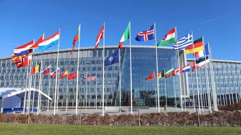 NATO NATO