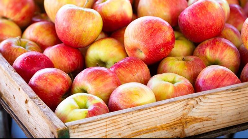 Apples Apples