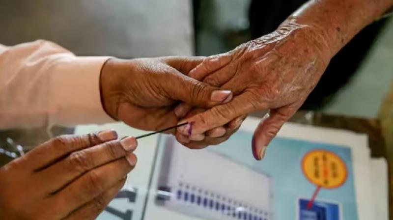 Voting Voting