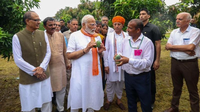 PM Modi. 
