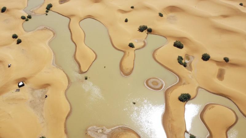Sahara Sahara