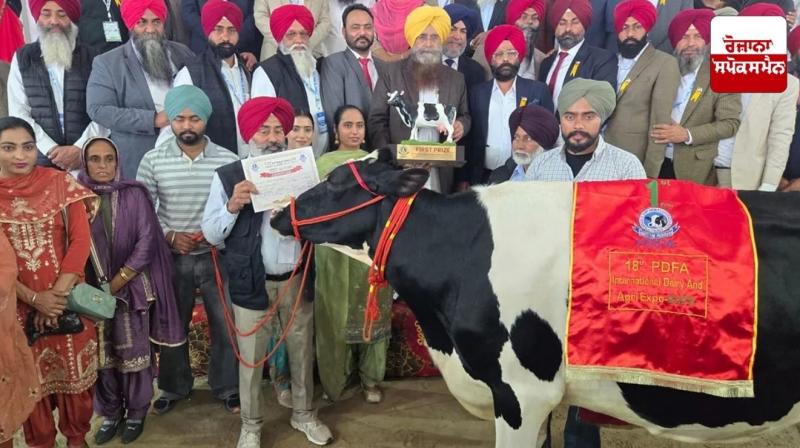 Harpreet's cow from Moga sets national record with 82 liters of milk in Jagraon Latest News in Punjabi Harpreet's cow from Moga sets national record with 82 liters of milk in Jagraon Latest News in Punjabi