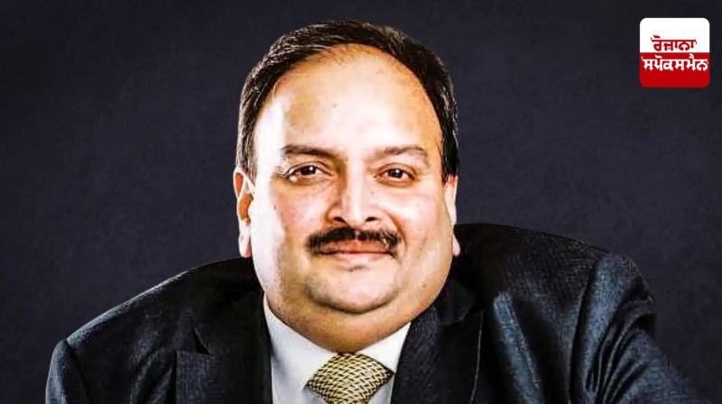 Fugitive Mehul Choksi is in Belgium, Belgian government also accepted this fact Latest News in Punjabi Fugitive Mehul Choksi is in Belgium, Belgian government also accepted this fact Latest News in Punjabi