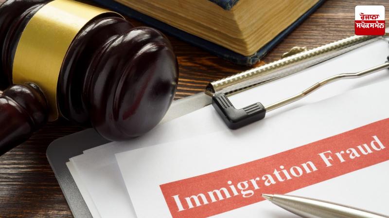Punjab and Haryana High Court expresses concern over alarming increase in immigration fraud News in Punjabi Punjab and Haryana High Court expresses concern over alarming increase in immigration fraud News in Punjabi