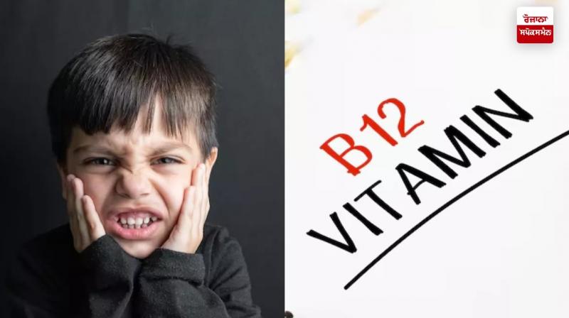 Vitamin B-12 deficiency makes children irritable Latest news in Punjabi Vitamin B-12 deficiency makes children irritable Latest news in Punjabi