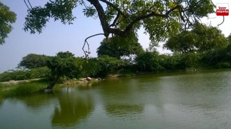 Along with rivers, groundwater is also becoming toxic in Punjab Latest News in Punjabi Along with rivers, groundwater is also becoming toxic in Punjab Latest News in Punjabi
