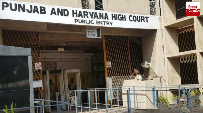 High Court Dismisses 7 Petitions in Corruption Cases Latest News in Punjabi High Court Dismisses 7 Petitions in Corruption Cases Latest News in Punjabi