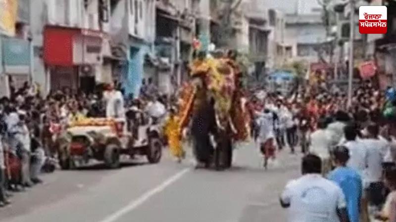 Elephant goes Out of Control during Jagannath Rath Yatra in Ahmedabad Latest News in Punjabi Elephant goes Out of Control during Jagannath Rath Yatra in Ahmedabad Latest News in Punjabi