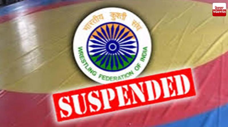 11 Wrestlers Suspended in Fake Birth Certificate Case Latest News in Punjabi 