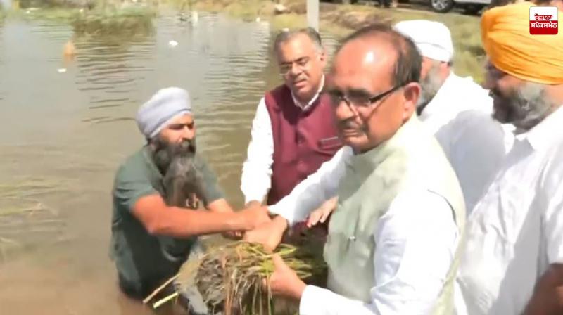 Floods Wreak Havoc in Punjab, Supreme Court Sends Notice to State Government Latest News in Punjabi Floods Wreak Havoc in Punjab, Supreme Court Sends Notice to State Government Latest News in Punjabi