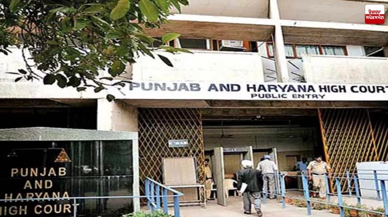 Border Firing, HC Upholds Dismissal of Drunk BSF Jawan Latest News in Punjab Border Firing, HC Upholds Dismissal of Drunk BSF Jawan Latest News in Punjab