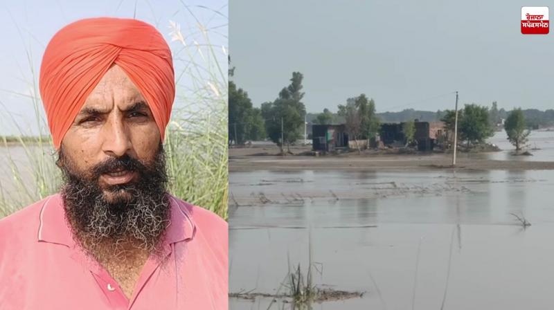 River Beas is Continuously Flooding the Village of Rampur Gora in Sultanpur Lodhi Latest News in Punjabi 