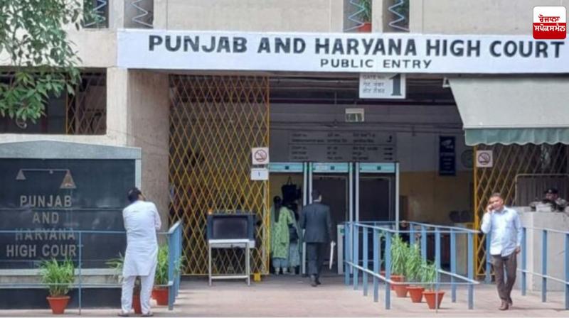 High Court Reprimands Punjab Over Shortage of Teachers in Schools Latest News in Punjabi High Court Reprimands Punjab Over Shortage of Teachers in Schools Latest News in Punjabi
