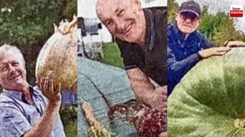 British King in 'Giant Vegetable Championship' Latest News in Punjabi  British King in 'Giant Vegetable Championship' Latest News in Punjabi