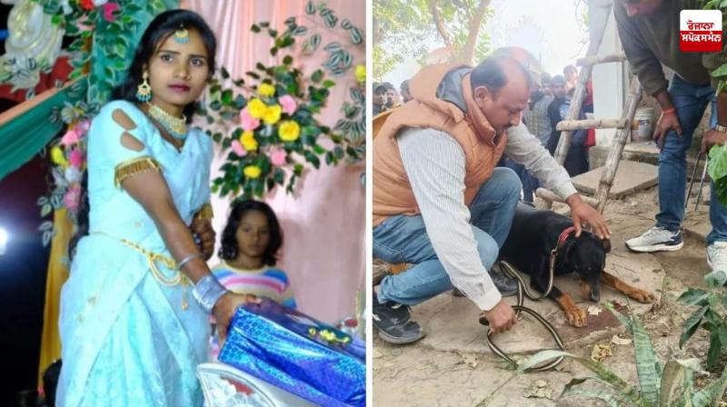 Young Girl Murdered at Cousin's Wedding in Gorakhpur Latest News in Punjabi