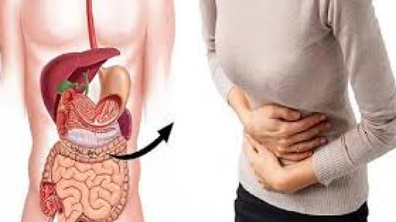 stomach Insects Problem
