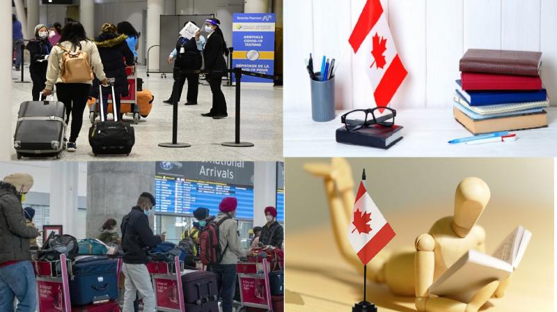 Study in Canada, hobby, compulsion or necessity? Study in Canada, hobby, compulsion or necessity?
