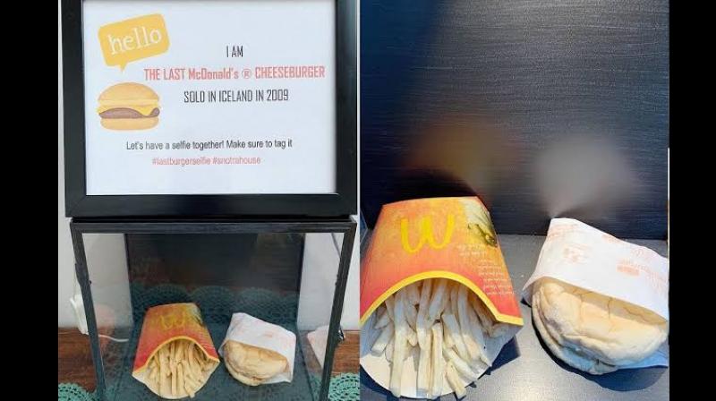 Burgers Burgers