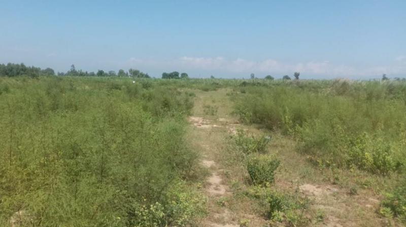 3 sand quarries will be allotted to contractors in Hoshiarpur 3 sand quarries will be allotted to contractors in Hoshiarpur