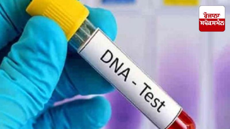 Punjab government orders DNA testing of beggars in all districts Punjab government orders DNA testing of beggars in all districts