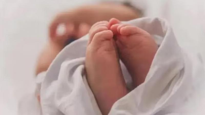 Body of a newborn baby found in Ludhiana Body of a newborn baby found in Ludhiana